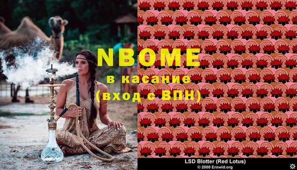 ешки Аркадак