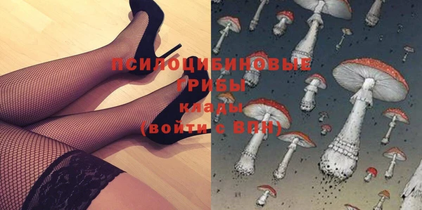 прущая мука Армянск