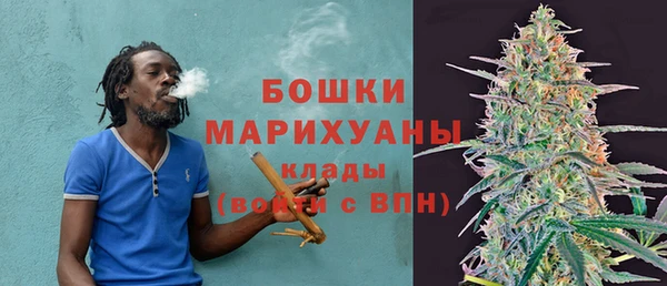 прущие грибы Арсеньев