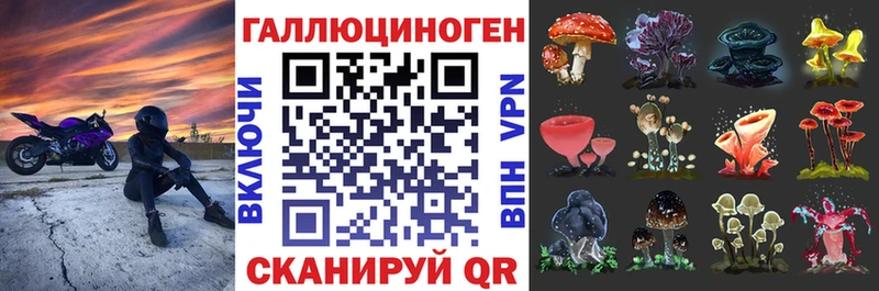 купить закладку Нязепетровск площадка формула Галлюциногенные грибы GOLDEN TEACHER